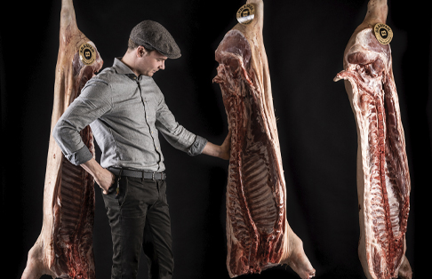 Brasvar